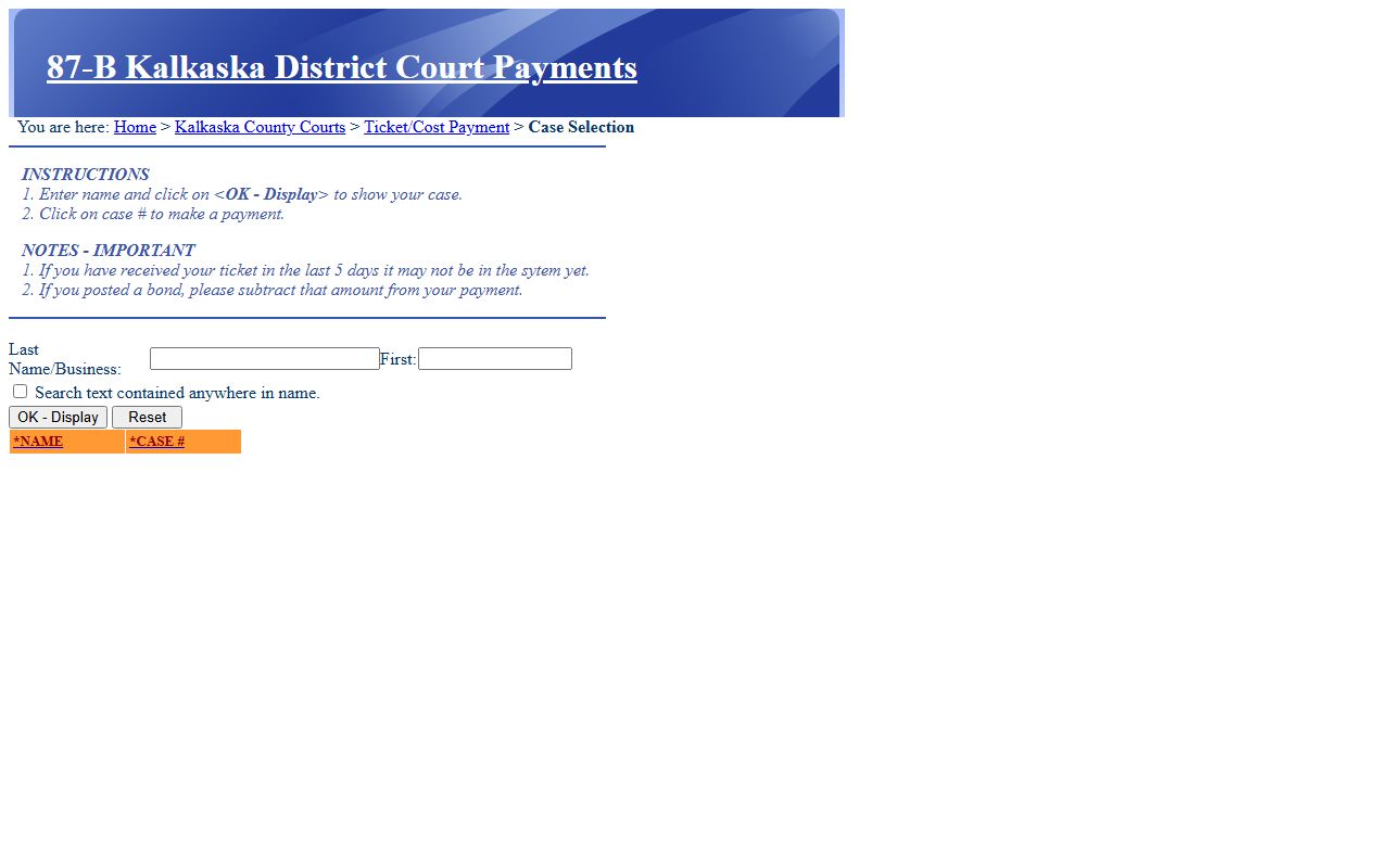 Kalkaska County 87-B District Court case and payment search portal